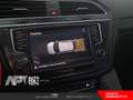 Volkswagen Tiguan Tiguan 1.6 tdi Business 115cv Bianco - thumbnail 17