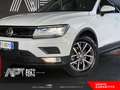 Volkswagen Tiguan Tiguan 1.6 tdi Business 115cv Bianco - thumbnail 33