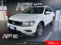 Volkswagen Tiguan Tiguan 1.6 tdi Business 115cv Bianco - thumbnail 1