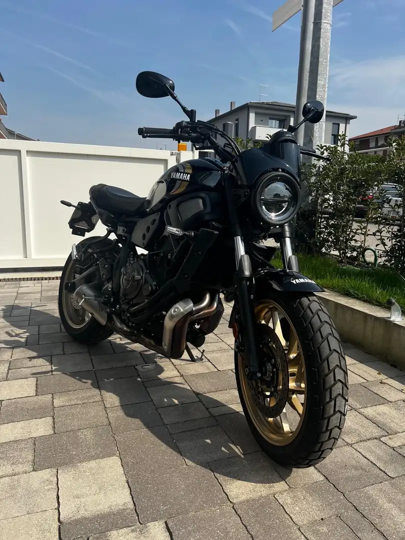 Yamaha XSR 700 Tribute - 2