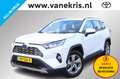 Toyota RAV 4 2.5 Hybrid First Edition, 360 Camera Blanc - thumbnail 1