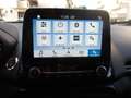 Ford EcoSport 1.0 EcoBoost 125 CV Start&Stop Titanium Grijs - thumbnail 14