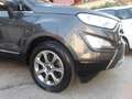 Ford EcoSport 1.0 EcoBoost 125 CV Start&Stop Titanium Grijs - thumbnail 4