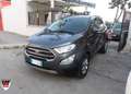 Ford EcoSport 1.0 EcoBoost 125 CV Start&Stop Titanium Grijs - thumbnail 3