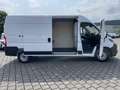 Fiat Ducato 35 140 L3H2 Multicab Techno+/Cargo+ Weiß - thumbnail 8