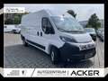 Fiat Ducato 35 140 L3H2 Multicab Techno+/Cargo+ Weiß - thumbnail 1