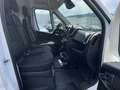 Fiat Ducato 35 140 L3H2 Multicab Techno+/Cargo+ Weiß - thumbnail 9