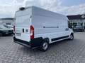 Fiat Ducato 35 140 L3H2 Multicab Techno+/Cargo+ Weiß - thumbnail 11