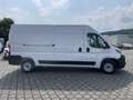 Fiat Ducato 35 140 L3H2 Multicab Techno+/Cargo+ Weiß - thumbnail 7