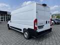 Fiat Ducato 35 140 L3H2 Multicab Techno+/Cargo+ Weiß - thumbnail 14