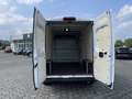 Fiat Ducato 35 140 L3H2 Multicab Techno+/Cargo+ Weiß - thumbnail 12