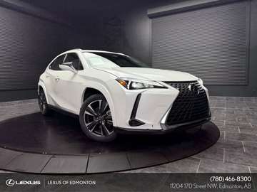 UX 300H PREMIUM PACKAGE