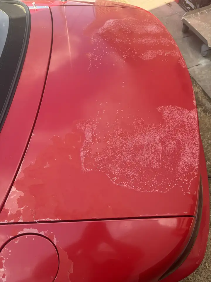 Mazda MX-5 1600cc, foto 6