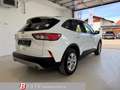 Ford Kuga KUGA COOL & CONNECT 1.5TDCI 120PS M6 Weiß - thumbnail 4
