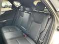 Lexus NX 450h+ F SPORT Line+360°+navi+sensore Złoty - thumbnail 14