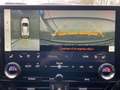 Lexus NX 450h+ F SPORT Line+360°+navi+sensore Goud - thumbnail 20