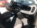 Fiat Panda 1.0 FireFly S&S Hybrid City Life Grigio - thumbnail 14