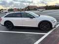 Audi A6 allroad A6 allroad quattro 50 TDI tiptronic Weiß - thumbnail 3