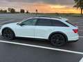 Audi A6 allroad A6 allroad quattro 50 TDI tiptronic Weiß - thumbnail 5