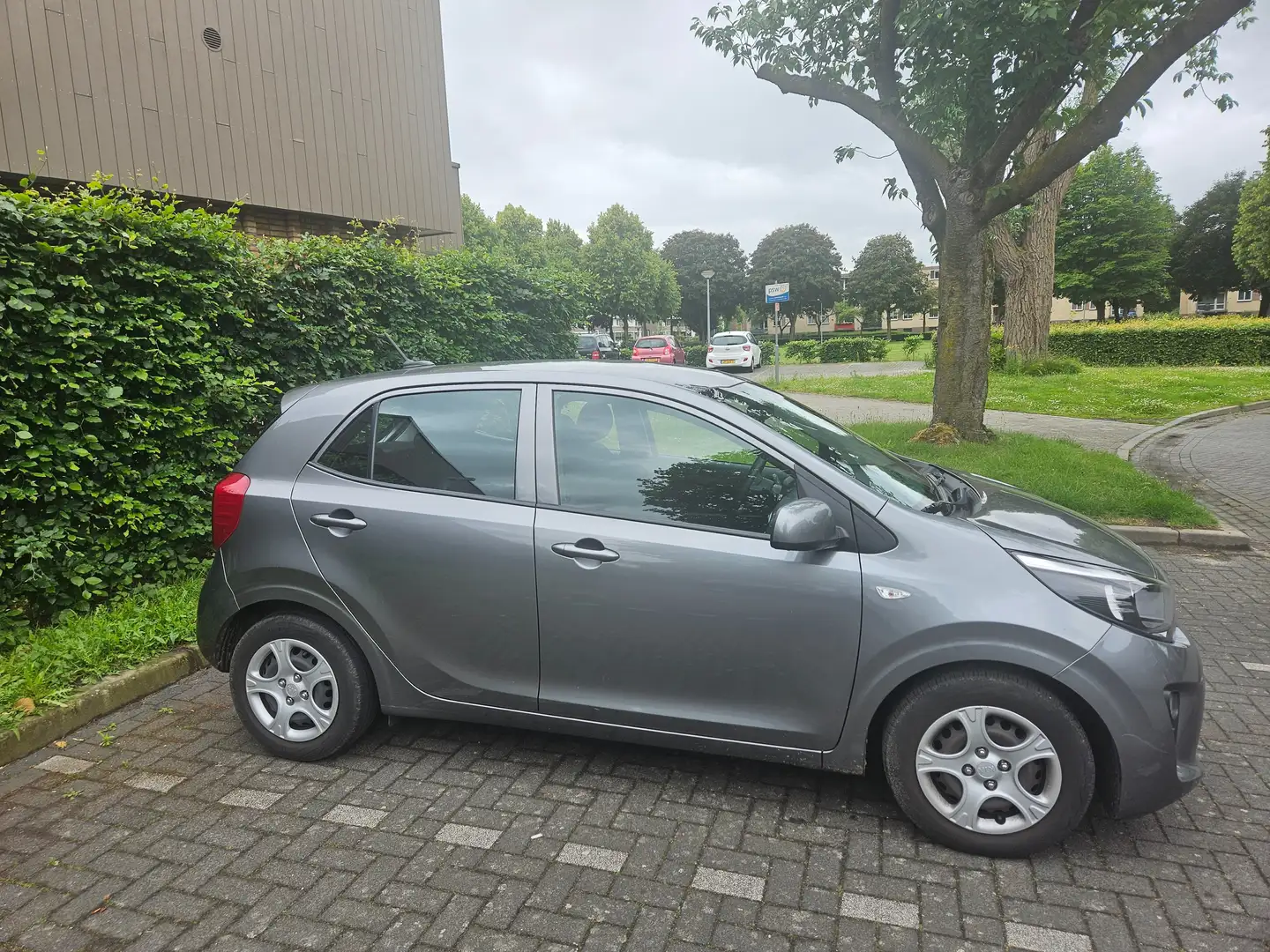 Kia Picanto Picanto 1.0 DPi ComfortLine Grijs - 1