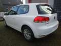 Volkswagen Golf VI 1.4 Trendline / 1.HAND,KLIMA,TÜV NEU !!! Weiß - thumbnail 4
