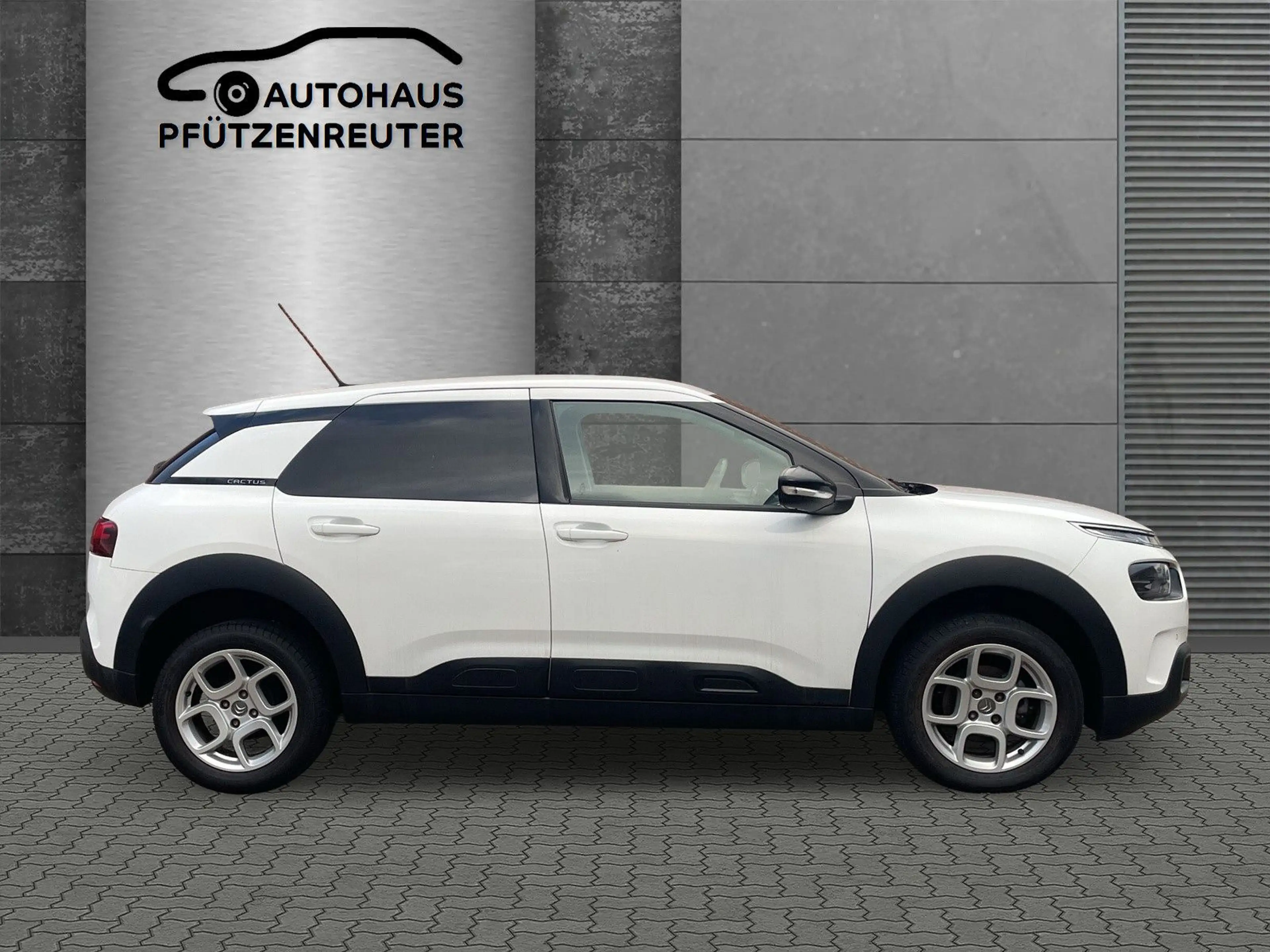 Citroen C4 Cactus Shine — photo 4