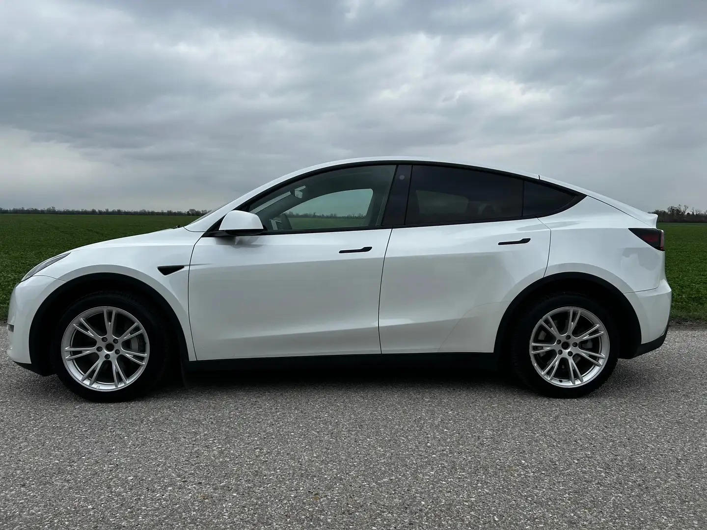 Tesla Model Y Model Y Long Range AWD 79kWh Weiß - 2