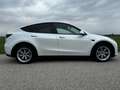 Tesla Model Y Model Y Long Range AWD 79kWh Weiß - thumbnail 4