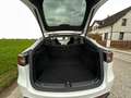 Tesla Model Y Model Y Long Range AWD 79kWh Weiß - thumbnail 11