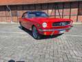 Ford Mustang Cabrio A Code Schaltgetriebe  V8 Rot - thumbnail 5