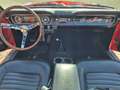 Ford Mustang Cabrio A Code Schaltgetriebe  V8 Rot - thumbnail 7