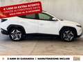 Hyundai TUCSON 1.6 t-gdi 48v exellence lounge pack 2wd imt Alb - thumbnail 5