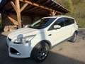 Ford Kuga Kuga 2,0 TDCi Titanium 4x4 Titanium Weiß - thumbnail 11