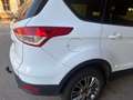 Ford Kuga Kuga 2,0 TDCi Titanium 4x4 Titanium Weiß - thumbnail 1