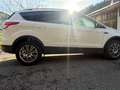 Ford Kuga Kuga 2,0 TDCi Titanium 4x4 Titanium Weiß - thumbnail 12