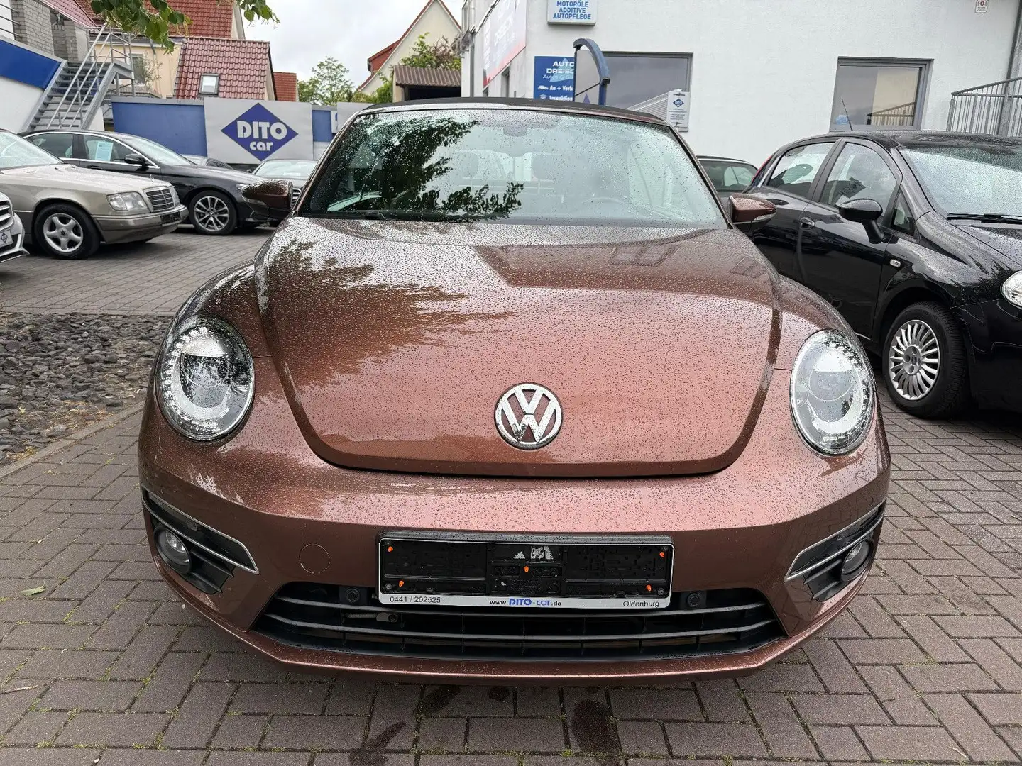Volkswagen Beetle Cabriolet BMT/XENON/KAMERA/LEDER/NAVI Braun - 2
