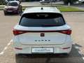 CUPRA Leon Sportstourer,Virtual,ACC,Blind,R-Kam.3,49% Blanco - thumbnail 7