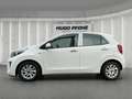 Kia Picanto *NAVI*RFK*LMF Weiß - thumbnail 2