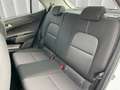 Kia Picanto *NAVI*RFK*LMF Weiß - thumbnail 11