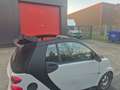 smart forTwo 0.8 CDi - Cabrio - Gekeurd vv Verkoop - Euro 5 Gris - thumbnail 11