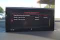 Audi Q7 3.0 TDI quattro S line Sport Plus 1.Hand Gris - thumbnail 29