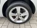 Skoda Rapid/Spaceback Cool Edition 1Hand Euro6 39.793Tkm Tüv Neu Grau - thumbnail 17