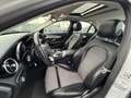 Mercedes-Benz C 250 d Lim 4M*SB-DACH-KAMERA*LED*1HD*AMBIE*NAVI Silber - thumbnail 7