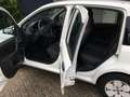 Fiat Panda 1.1 Actual / HOGE INSTAP / ZUINIG / APK JUNI 2026 Blanc - thumbnail 13