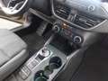Ford Focus 1.0 EcoBoost 125 CV automatico SW Active Co-Pilot - thumbnail 15