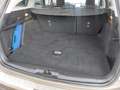 Ford Focus 1.0 EcoBoost 125 CV automatico SW Active Co-Pilot - thumbnail 8