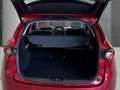 Mazda CX-5 Sports-Line AWD HUD PDC+Kamera Sitzh. Schiebedach Rojo - thumbnail 5