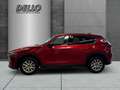 Mazda CX-5 Sports-Line AWD HUD PDC+Kamera Sitzh. Schiebedach Rojo - thumbnail 2