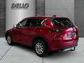 Mazda CX-5 Sports-Line AWD HUD PDC+Kamera Sitzh. Schiebedach Rojo - thumbnail 3