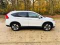Honda CR-V 1.6 i-DTEC 160ch Exclusive Navi 4WD Blanc - thumbnail 3